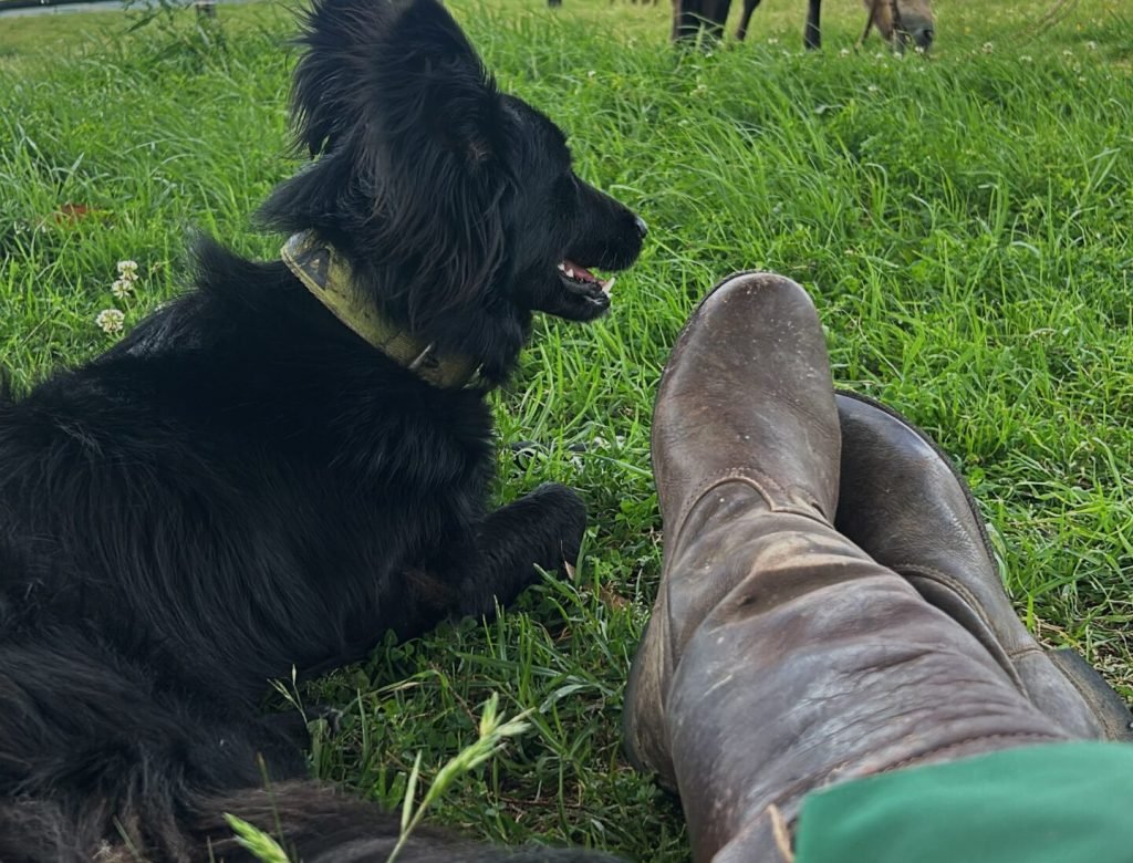 FIO CON CABALLO Y PERRO
